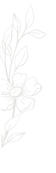 blume illustration